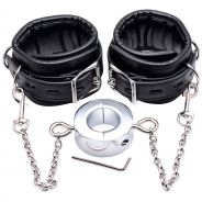 Master Series Hell's Tether Ball Stretcher Humbler