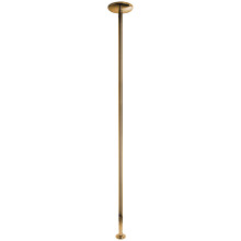 X-POLE Xpert Titanium Gold Stang 4,5 cm  1