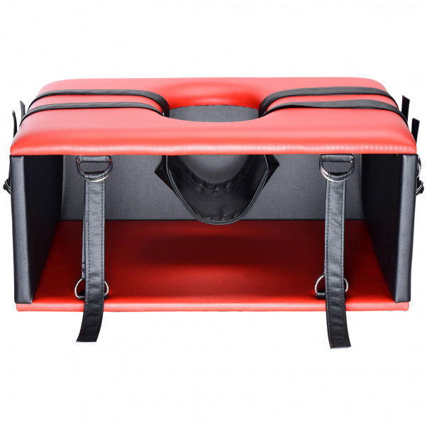 Master Series Queening Chair Sexmøbel  4