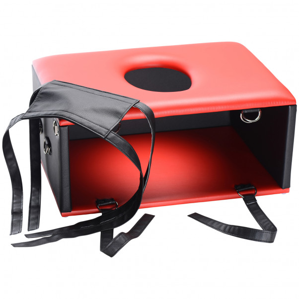 Master Series Queening Chair Sexmøbel  5