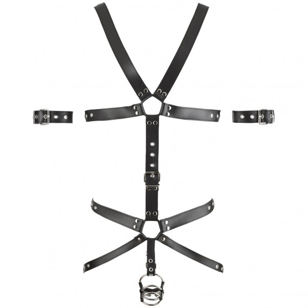 Zado Harness med Triple Penisring  3