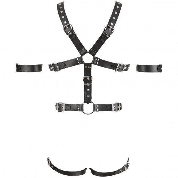 Zado Harness med Triple Penisring  4