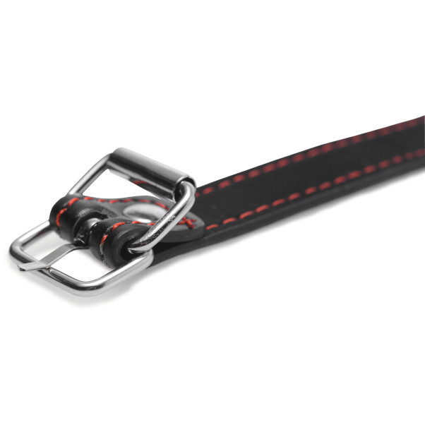 Master Series Hound Dog Bone Gag Produktbillede 4
