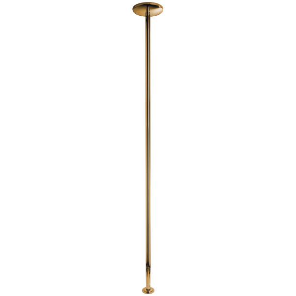 X-POLE Xpert Titanium Gold Stang 4,5 cm  1