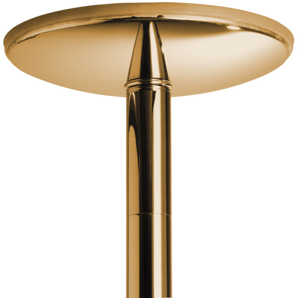 X-POLE Xpert Titanium Gold Stang 4,5 cm  2