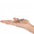 Penis Plug med Glansring  50