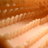 LoveBotz Pandoras Pussy Masturbator Attachment  3