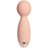 Sinful Peach Mini Wand Vibrator Produktbillede 1