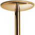X-POLE Xpert Titanium Gold Stang 4,5 cm  2