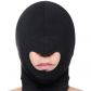 Master Series Blow Hole Spandex Maske  1