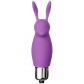 Baseks Teasing Rabbit Vibrator  2